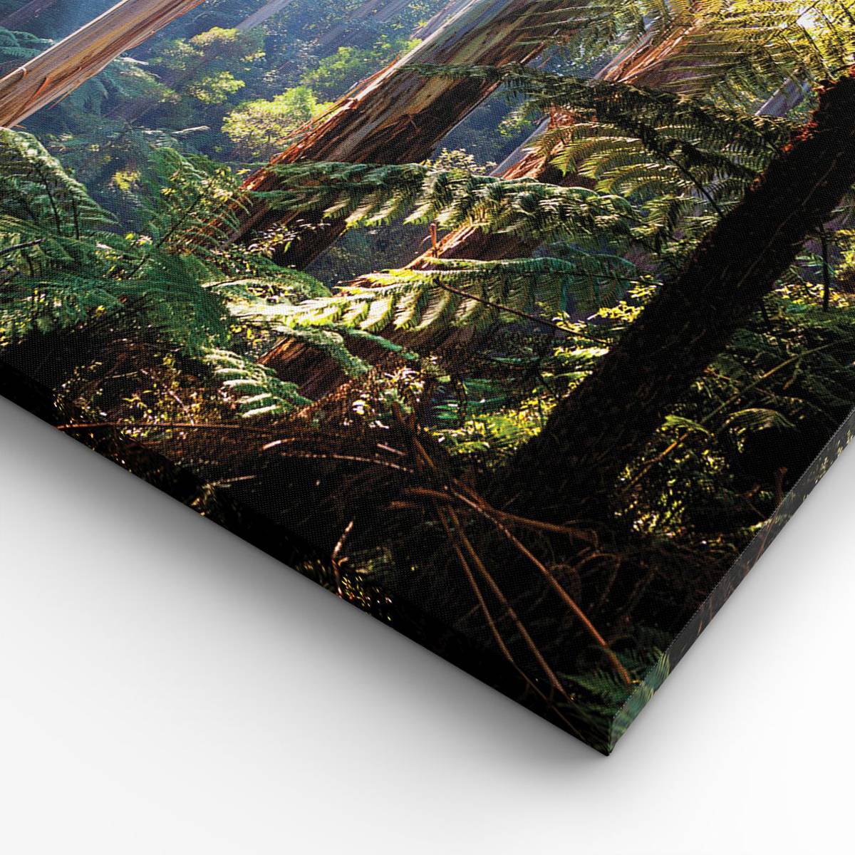 Impression sur Verre 100x40cm Tableaux Image Photo Forêt Aube Le Soleil Impression sur Verre 100x40cm Tableaux Image Photo Forêt Aube Le Soleil