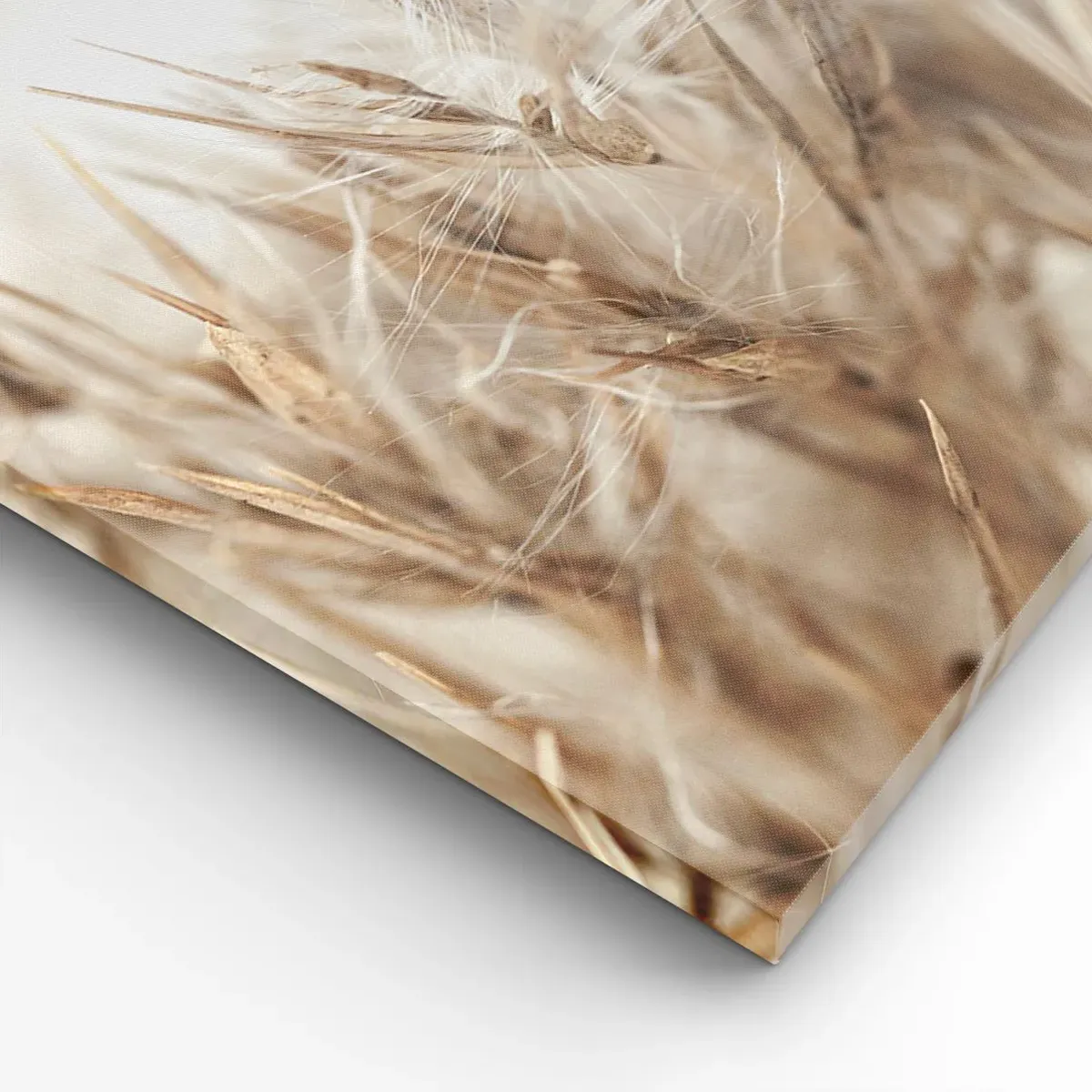 Canvastavla - Bild på duk - Äng och vind - 50x70 cm