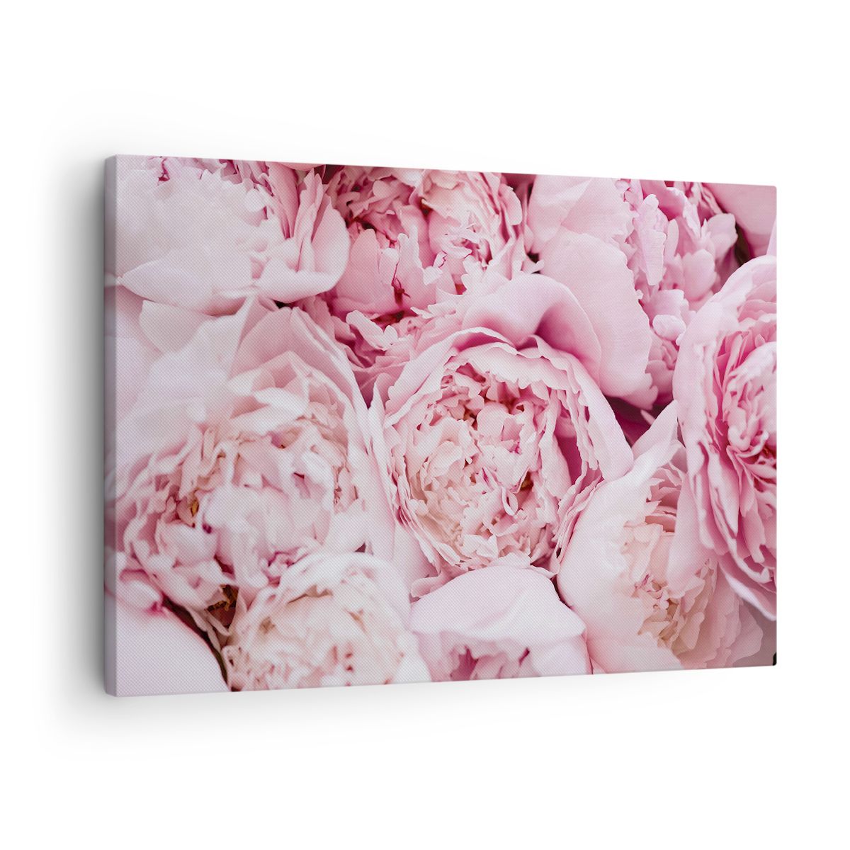 Stampe su Tela 70x50 Peonia Fiori Mazzo Di Fiori Quadro su tela | eBay