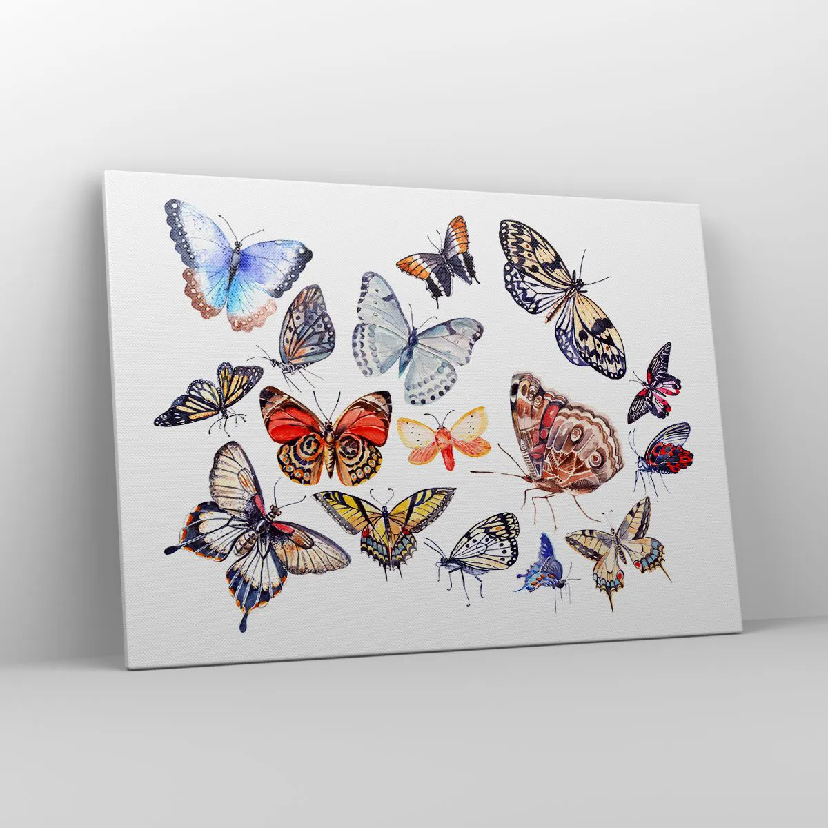 Vászonkép - Csipkés, színes raj - 100x70 cm