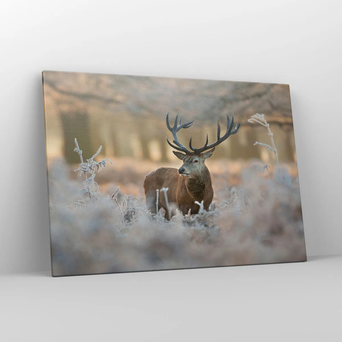 Quadro su tela - Stampe su Tela - Un cervo in una radura gelida in una foresta invernale dai colori tenui - 100x70cm - Fresco mattino - Decorazione murale moderna per soggiorno e camera da letto ARTTOR