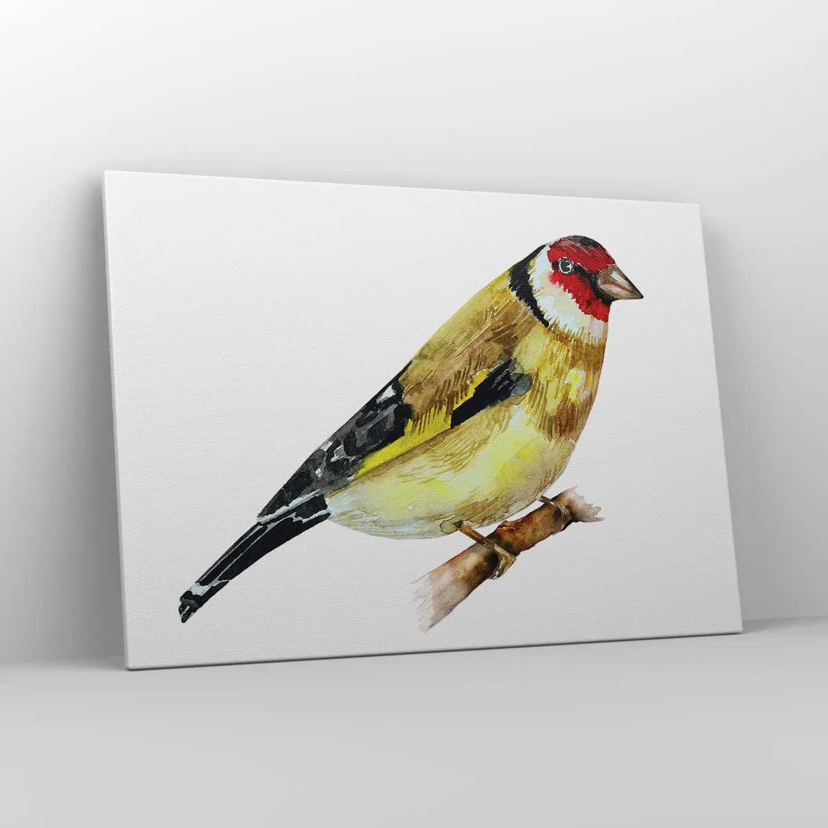 Obraz na płótnie - Ptak z czerwonym łebkiem na gałęzi - 100x70cm - Ptasi portret - Nowoczesna dekoracja ścienna do salonu, kuchni i sypialni ARTTOR