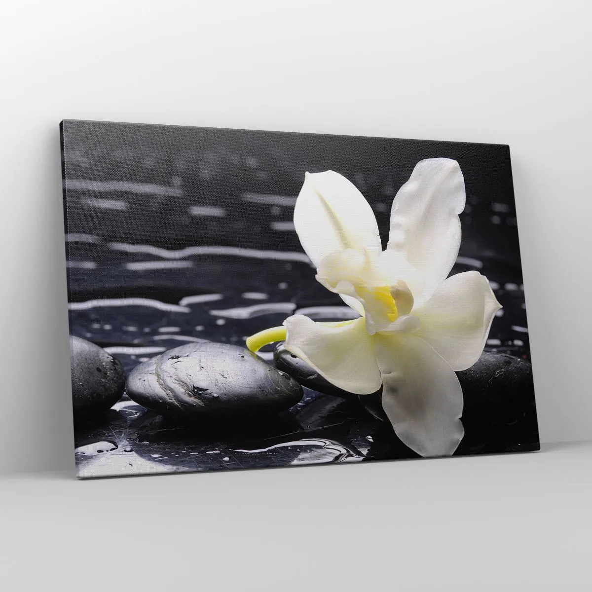 Obraz na plátne - Štúdia v čiernej a bielej - 120x80 cm