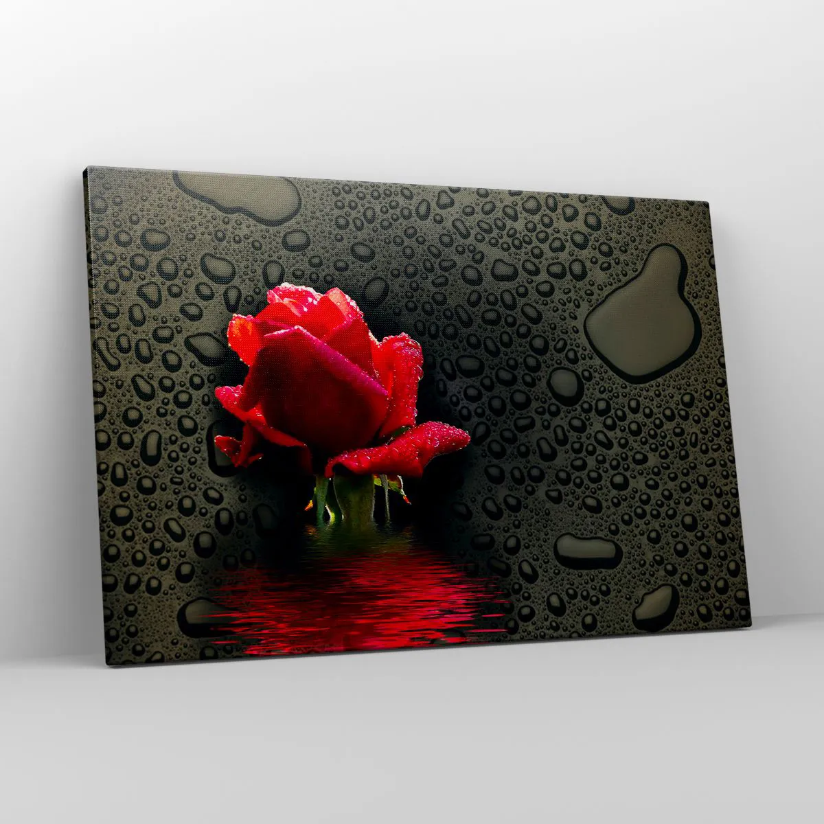 Impression sur toile - Image sur toile - Rose rouge avec des gouttes d'eau sur un fond sombre - 120x80cm - Rouge et noir - Décoration murale moderne pour le salon et la chambre ARTTOR