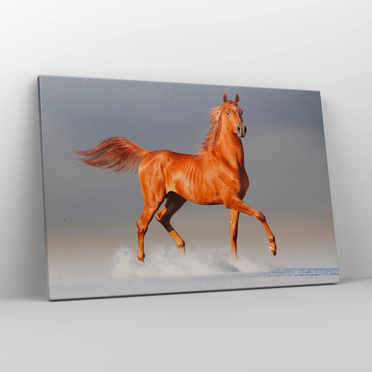 Canvas picture - Dancing Grace - 120x80 cm