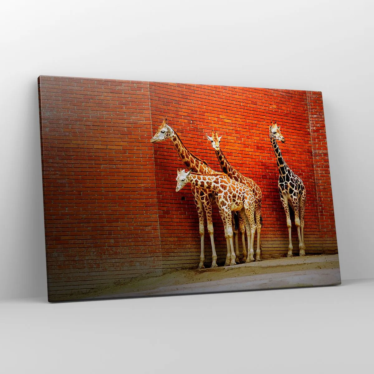 Cuadro sobre lienzo - Impresión de Imagen - Cuatro jirafas contra una pared de ladrillos en un entorno artístico. - 120x80cm - ¿Ves alguna acacia? - Decoración de pared moderna para salón y dormitorio ARTTOR