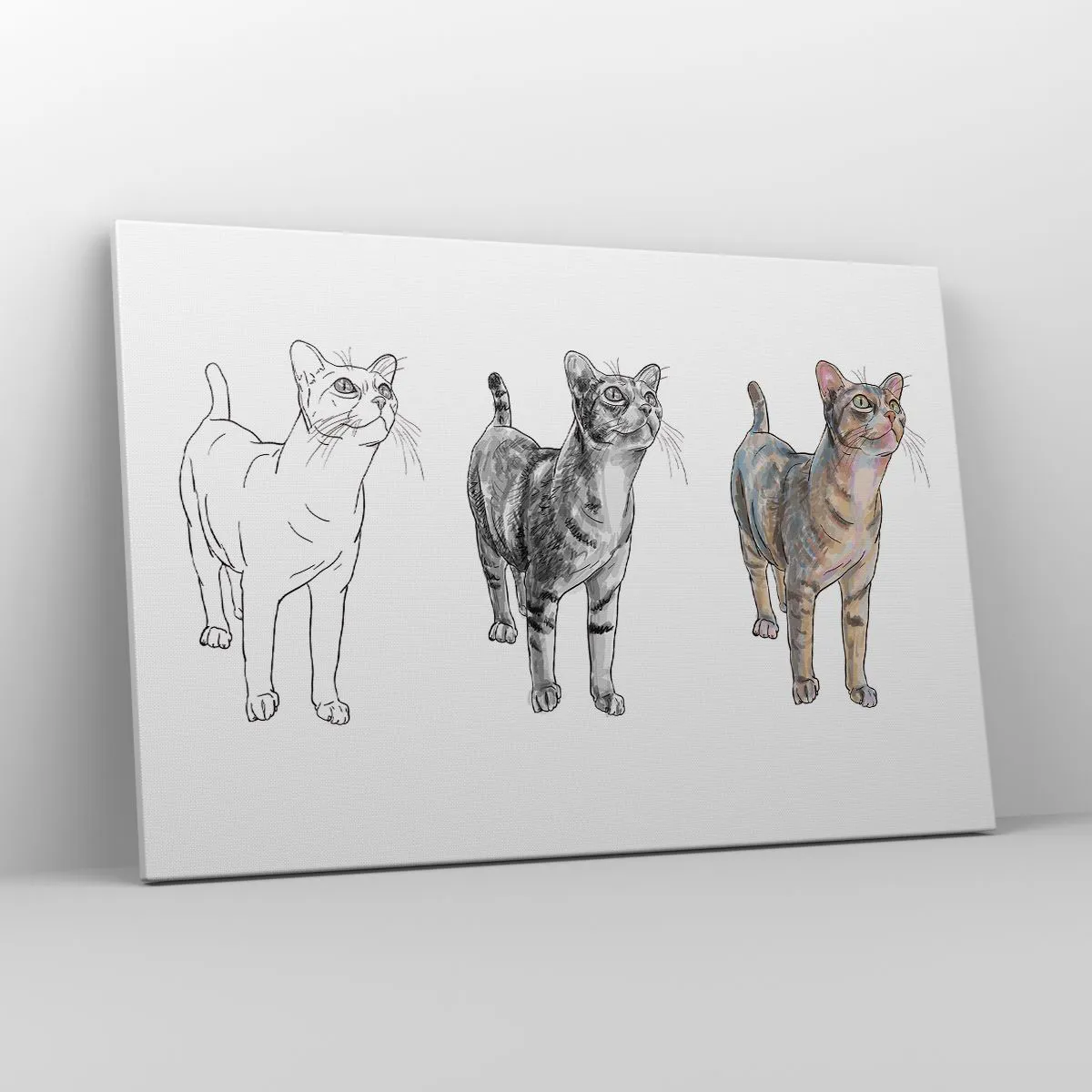Obraz na płótnie - Ewolucja rysunku kota od szkicu do kolorowej formy - 120x80cm - Lekcja rysunku - Nowoczesna dekoracja ścienna do salonu, kuchni i sypialni ARTTOR