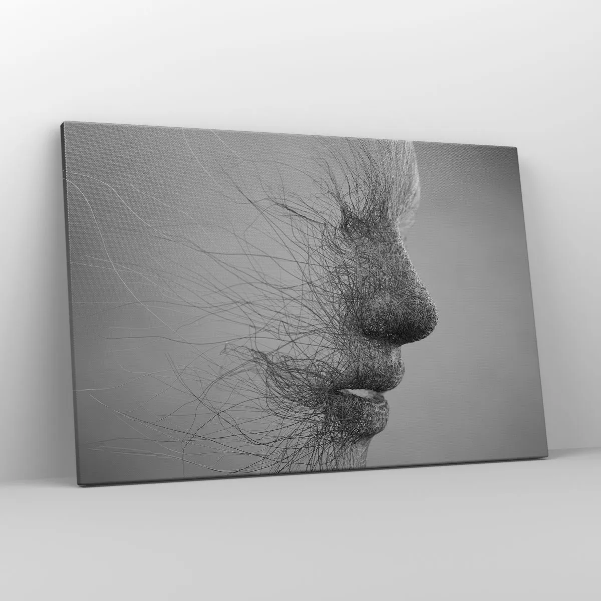 Impression sur toile - Image sur toile - Profil facial artistique créé avec des lignes délicates - 120x80cm - L'esprit du vent - Décoration murale moderne pour le salon et la chambre ARTTOR