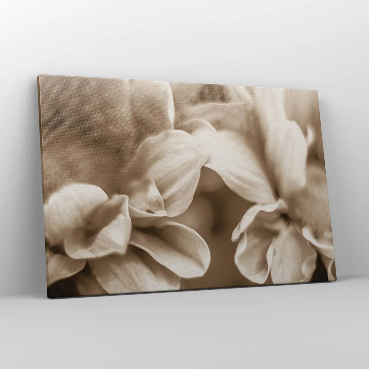 Impression sur toile - Image sur toile - Gros plan de fleurs dans un ton sépia délicat avec des contours doux - 120x80cm - Doux comme un sourire - Décoration murale moderne pour le salon et la chambre ARTTOR