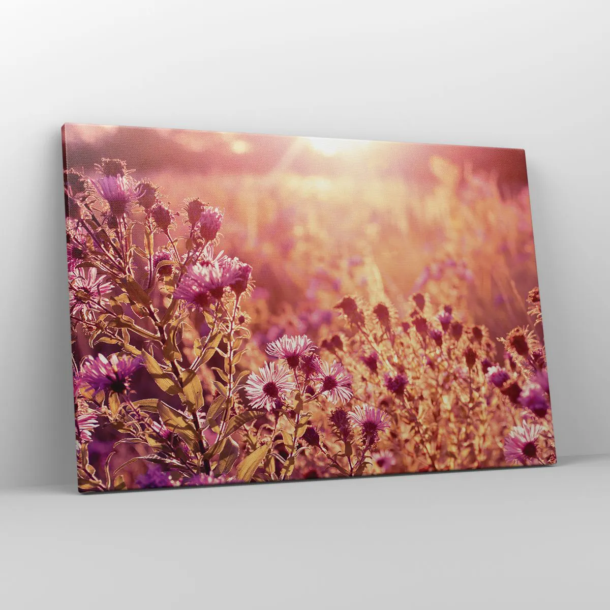 Obraz na płótnie - Łąka w świetle zachodzącego słońca - 120x80cm - Przed odejściem lata - Nowoczesna dekoracja ścienna do salonu, kuchni i sypialni ARTTOR