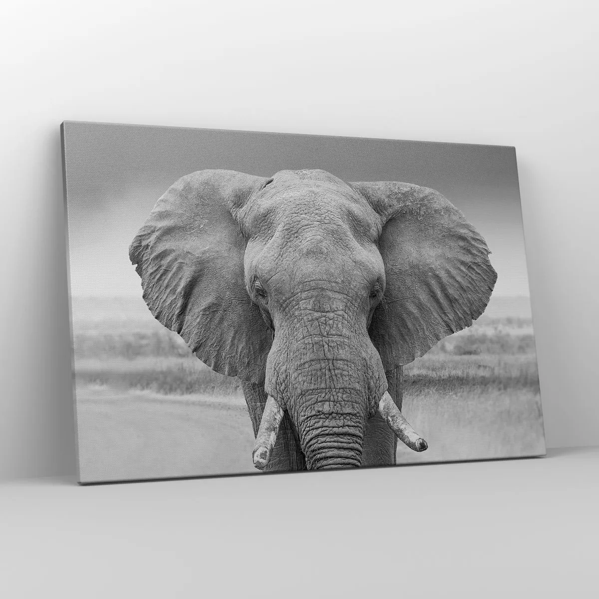 Obraz na plátně - Vítejte v mém světě - 120x80 cm