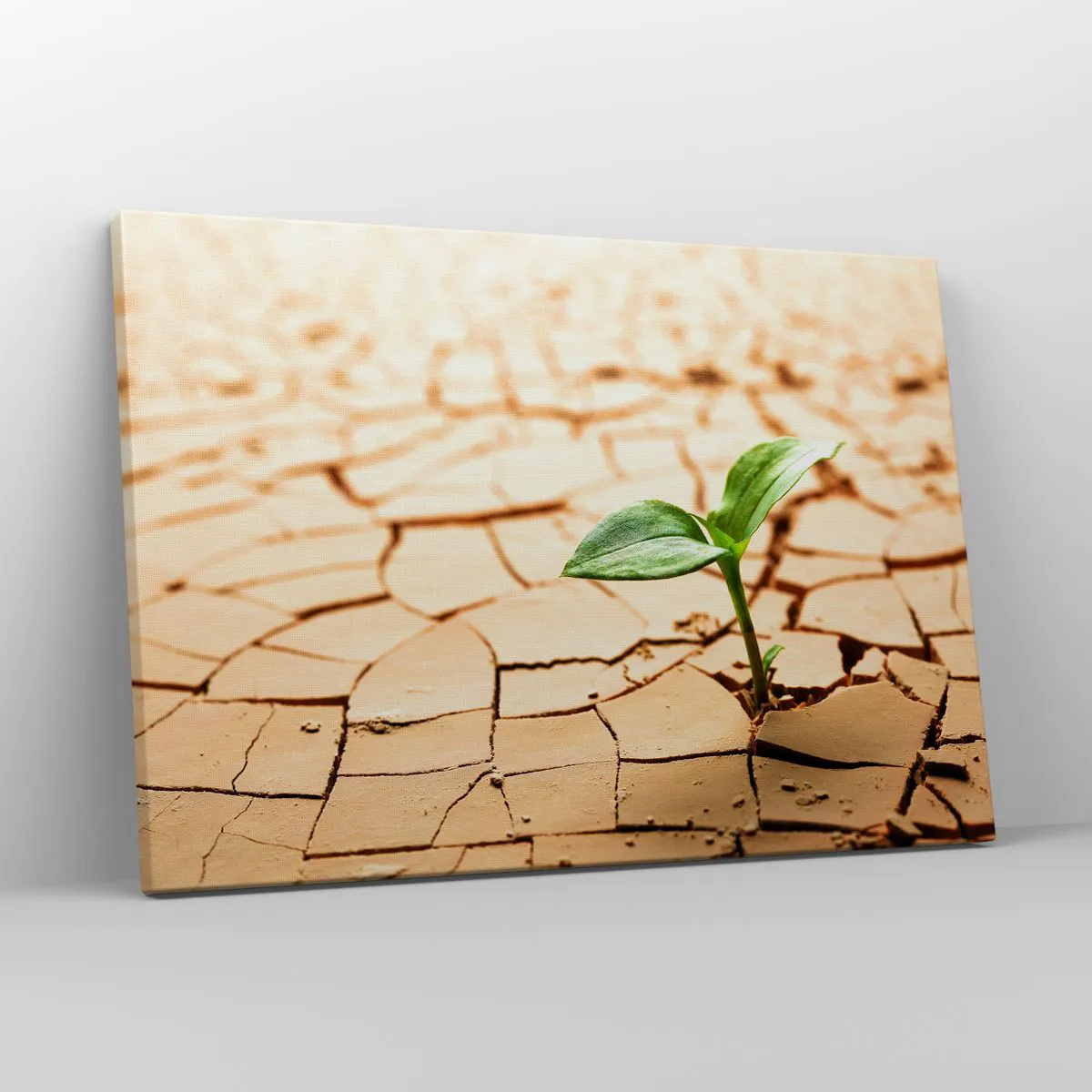 Canvas picture - A green plant growing out of dry, cracked earth - 70x50cm - Untamed Life Force - Modern wall decoration for the living room and bedroom ARTTOR