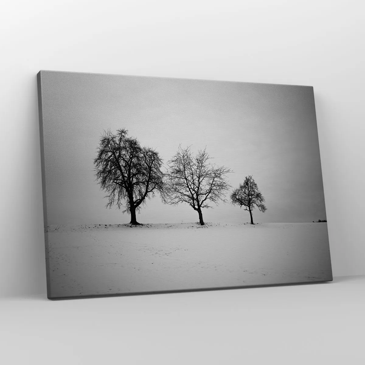 Quadro em tela - Três árvores em um campo nevado em estilo monocromático - 70x50cm - Com que sonham elas? - Decoração de parede moderna para a sala de estar e quarto ARTTOR