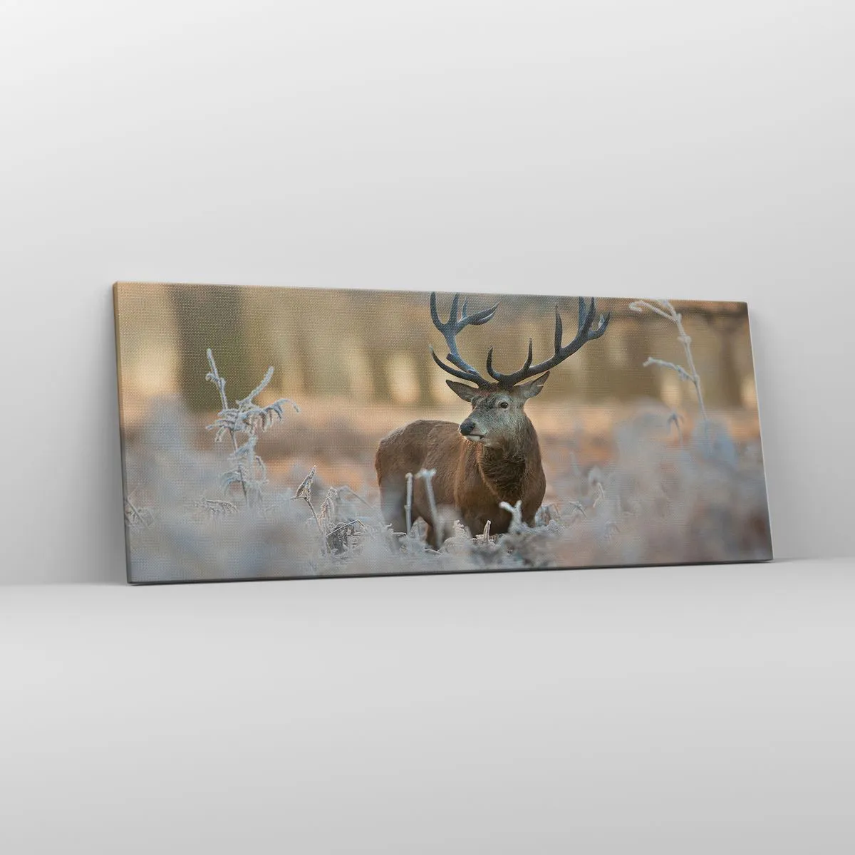 Vászonkép - Friss reggel - 100x40 cm