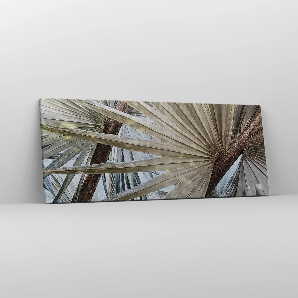 Impression sur toile - Image sur toile - Evantail sous les tropiques - 100x40 cm