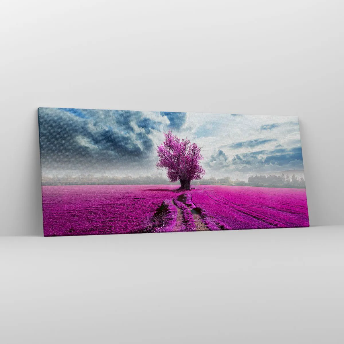 Obraz na plátně - Vřesoviště - divočina - 120x50 cm