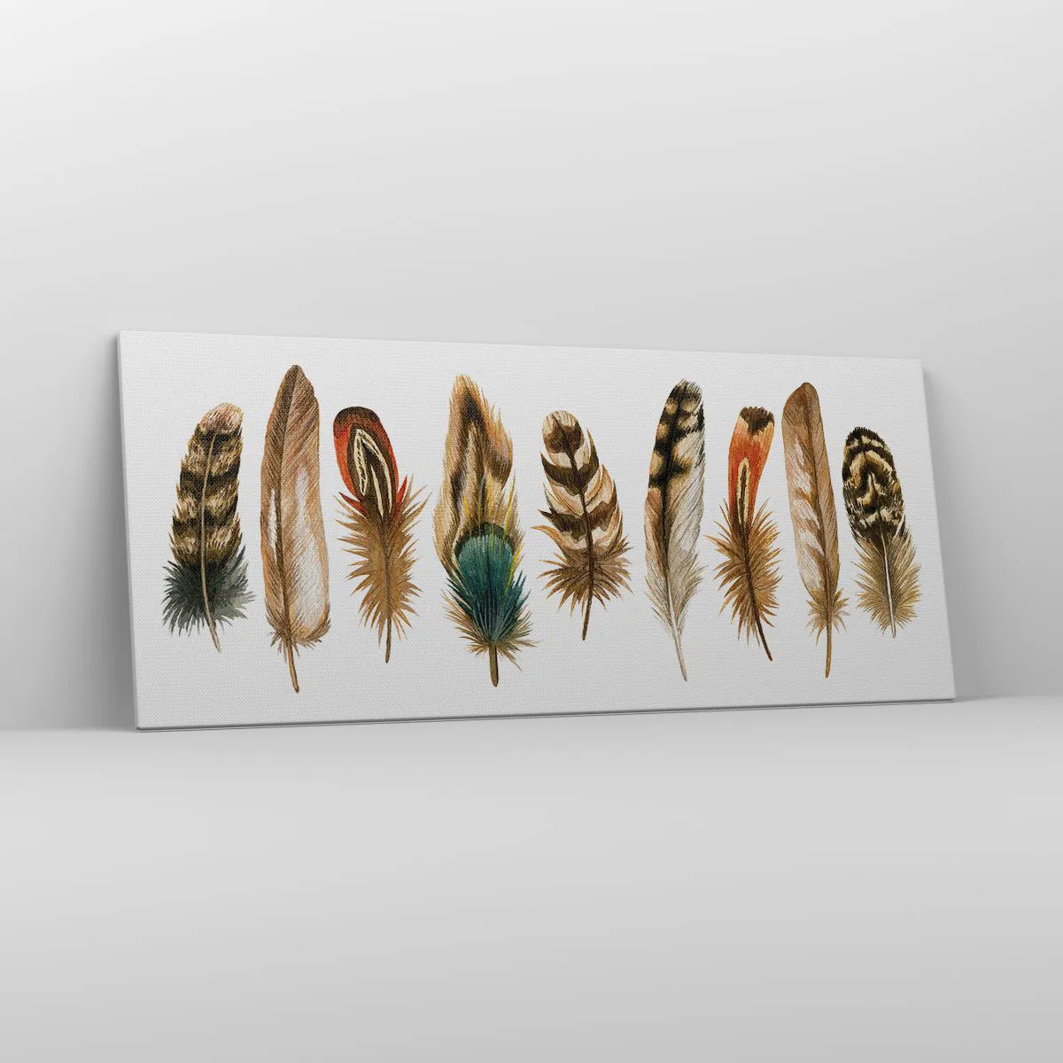 Impression sur toile - Image sur toile - Motif décoratif d'une collection de plumes diverses - 120x50cm - Variation à plumes - Décoration murale moderne pour le salon et la chambre ARTTOR