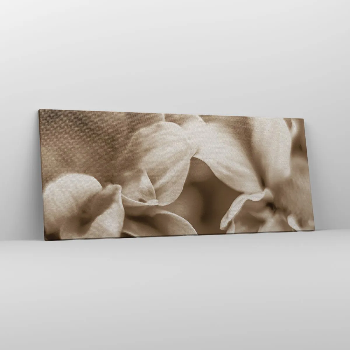 Impression sur toile - Image sur toile - Gros plan de fleurs dans un ton sépia délicat avec des contours doux - 120x50cm - Doux comme un sourire - Décoration murale moderne pour le salon et la chambre ARTTOR