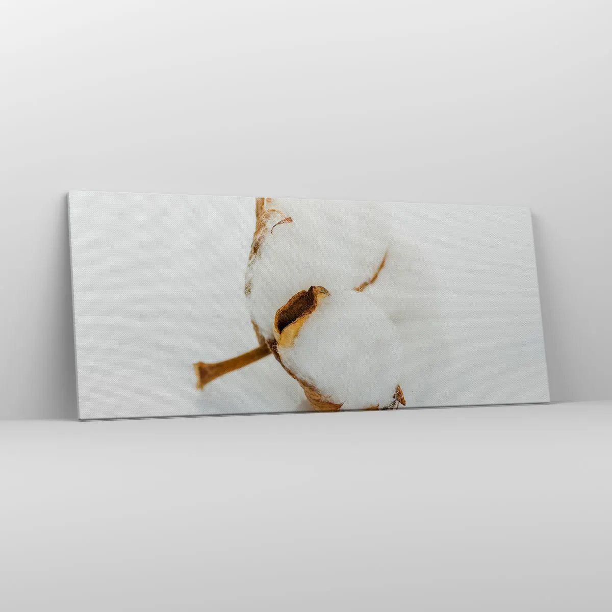 Cuadro sobre lienzo - Impresión de Imagen - Una rama de algodón sobre un fondo claro en un enfoque minimalista. - 120x50cm - Suave por naturaleza - Decoración de pared moderna para salón y dormitorio ARTTOR
