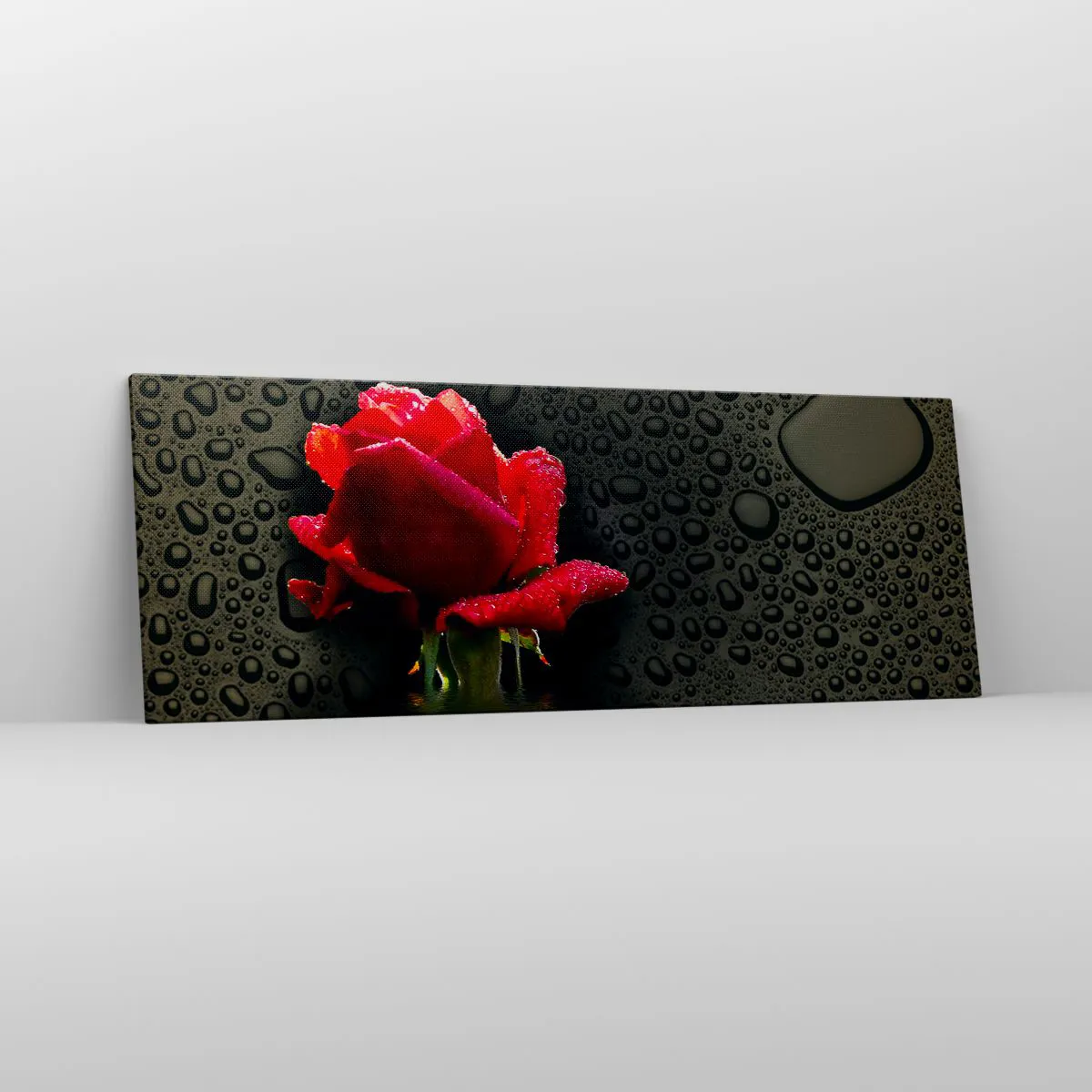 Obraz na płótnie - Czerwona róża z kroplami wody na tle ciemnym - 140x50cm - Czerwone i czarne - Nowoczesna dekoracja ścienna do salonu i sypialni ARTTOR