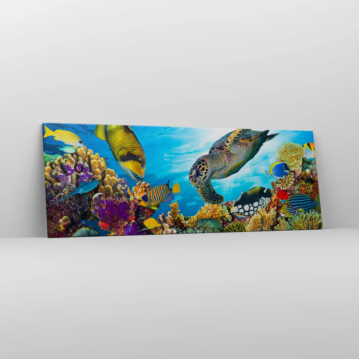 Bild auf Leinwand - Leinwandbild - Unterwasserwelt mit bunten Fischen und einer Schildkröte in den Korallen - 140x50cm - Korallenpromenade - Moderne Wanddekoration für Wohnzimmer und Schlafzimmer ARTTOR