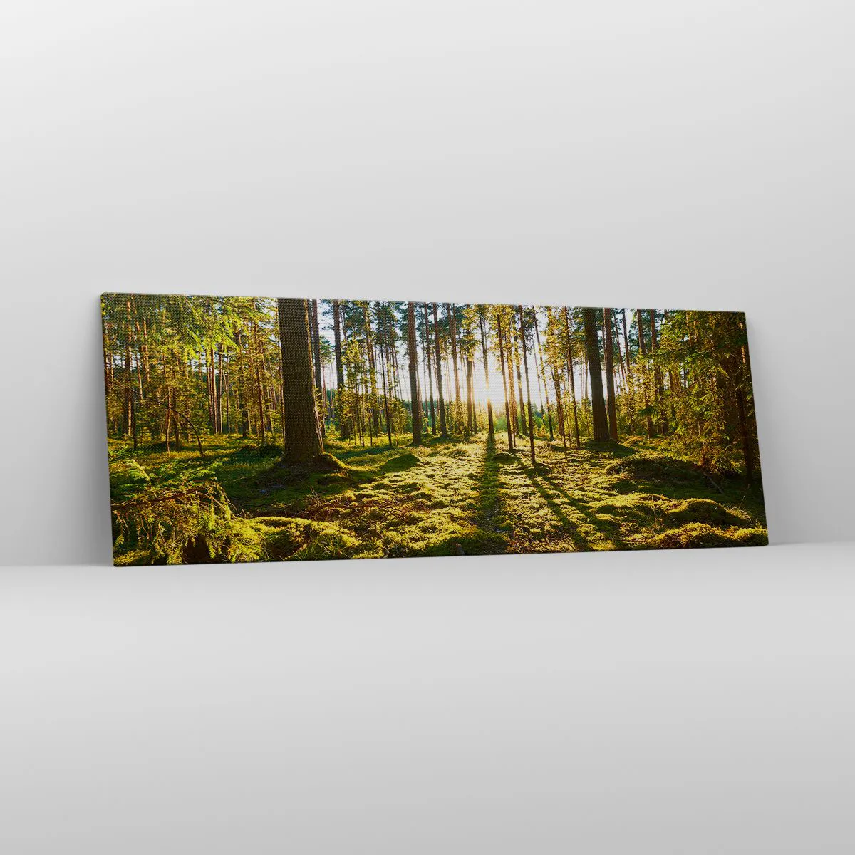 Obraz na plátně - …Za sedmero lesy - 140x50 cm