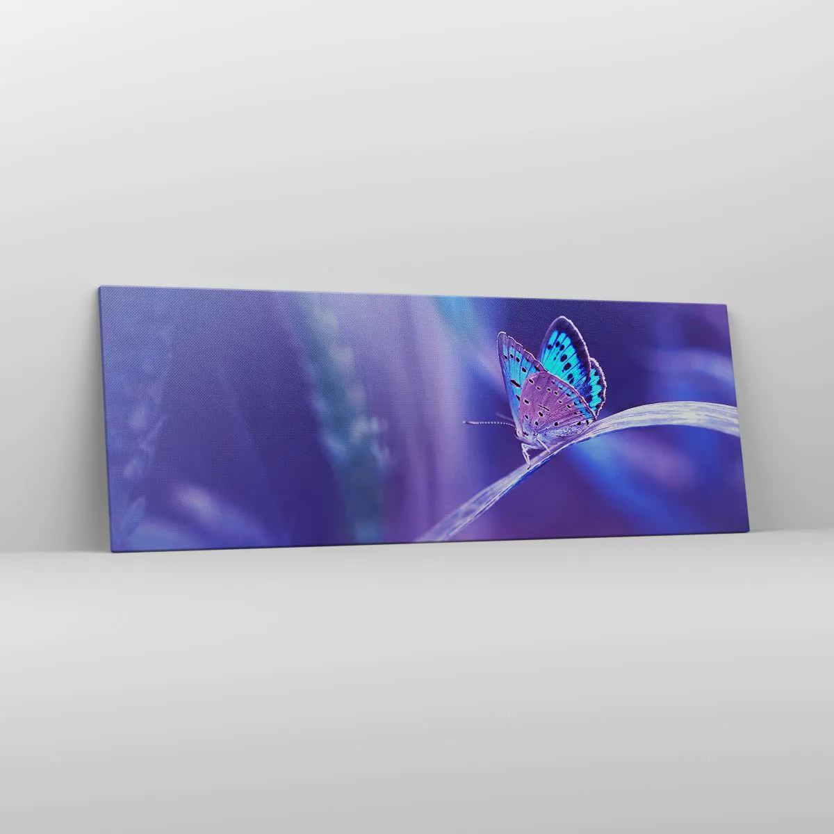 Impression sur toile - Image sur toile - Un délicat papillon bleu sur une tige dans une lumière violette - 140x50cm - Un joyau de la nature - Décoration murale moderne pour le salon et la chambre ARTTOR