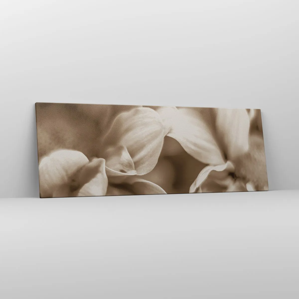 Obraz na płótnie - Zbliżenie kwiatów w delikatnej sepii o miękkich konturach - 140x50cm - Łagodne jak uśmiech - Nowoczesna dekoracja ścienna do salonu i sypialni ARTTOR