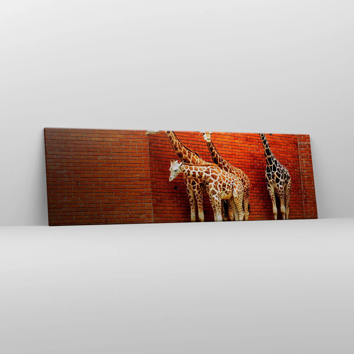 Vászonkép - Láttok akácot? - 160x50 cm