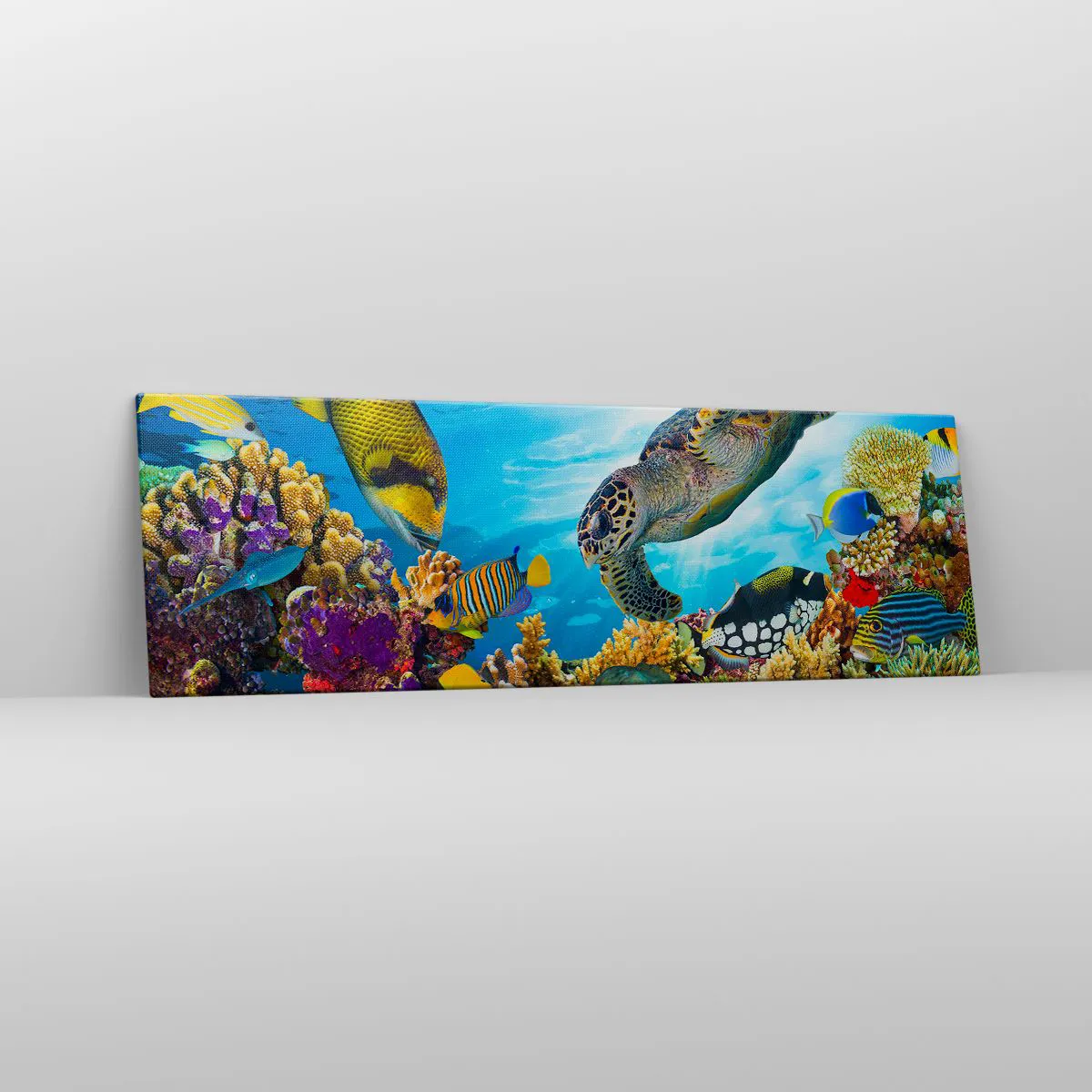 Vászonkép - Korall sétány - 160x50 cm