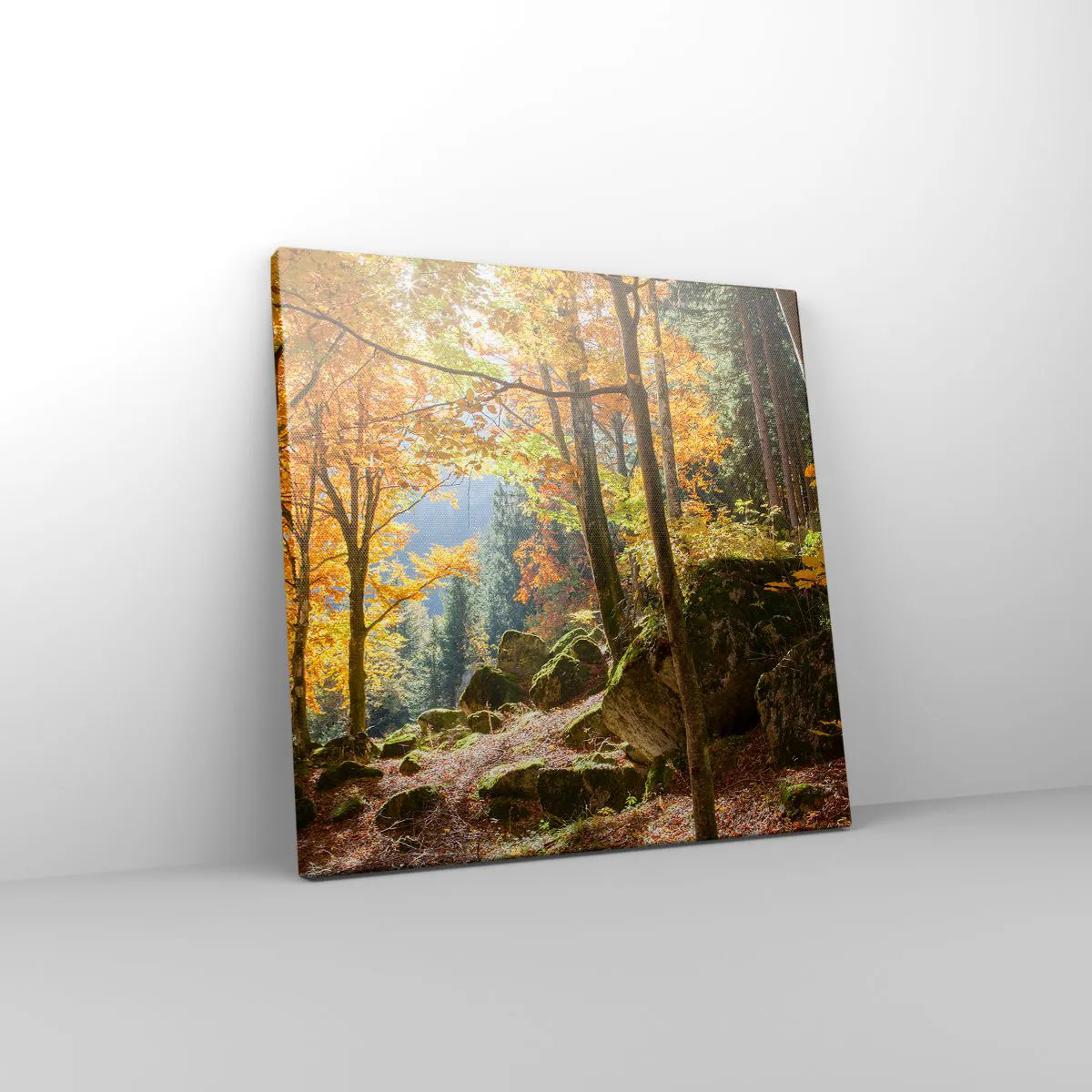 Obraz na plátně - Čas na odpočinek - 30x30 cm