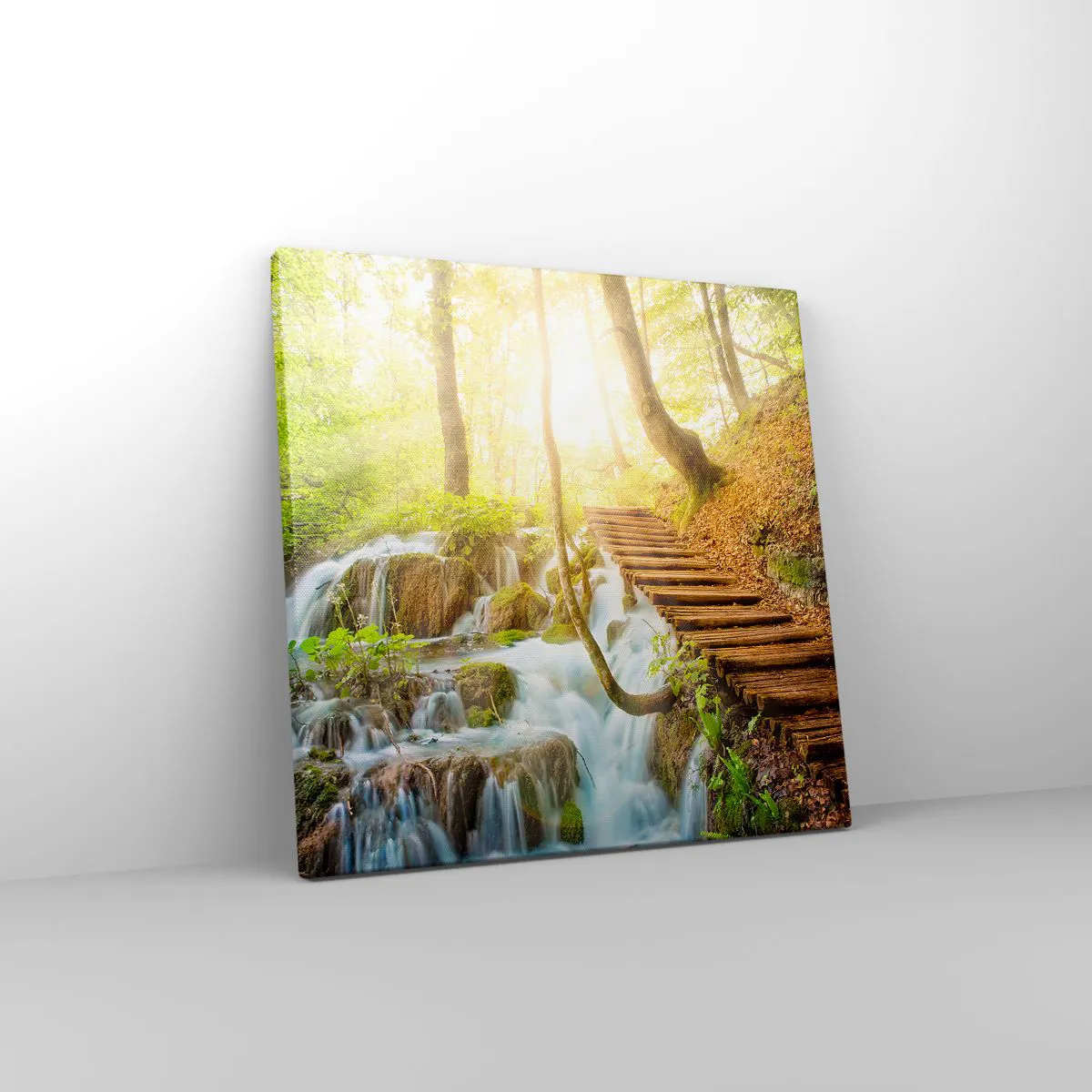 Quadro su tela - Stampe su Tela - Bramata freschezza - 30x30 cm