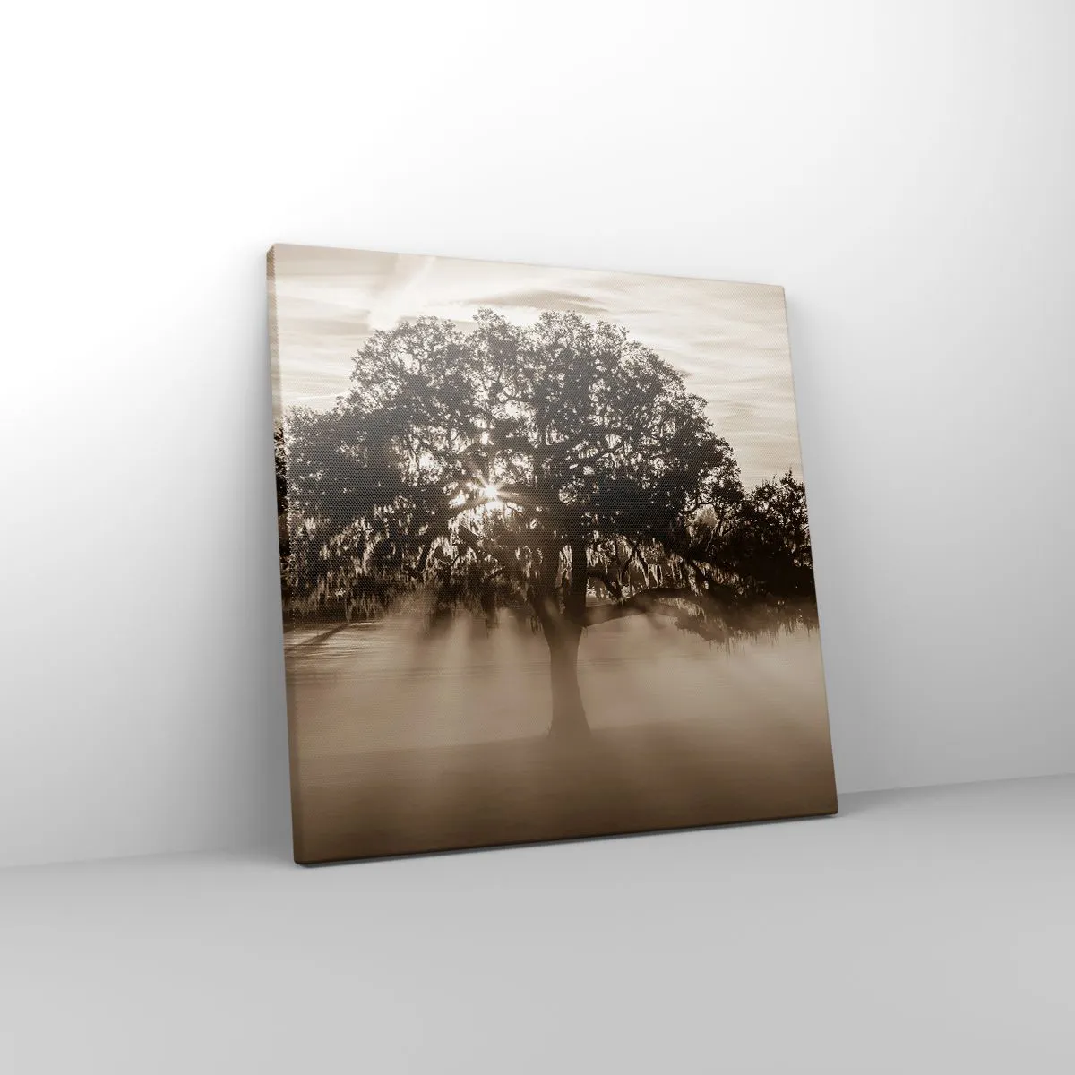 Schilderen op canvas - Boom van goede kennis alleen - 30x30 cm