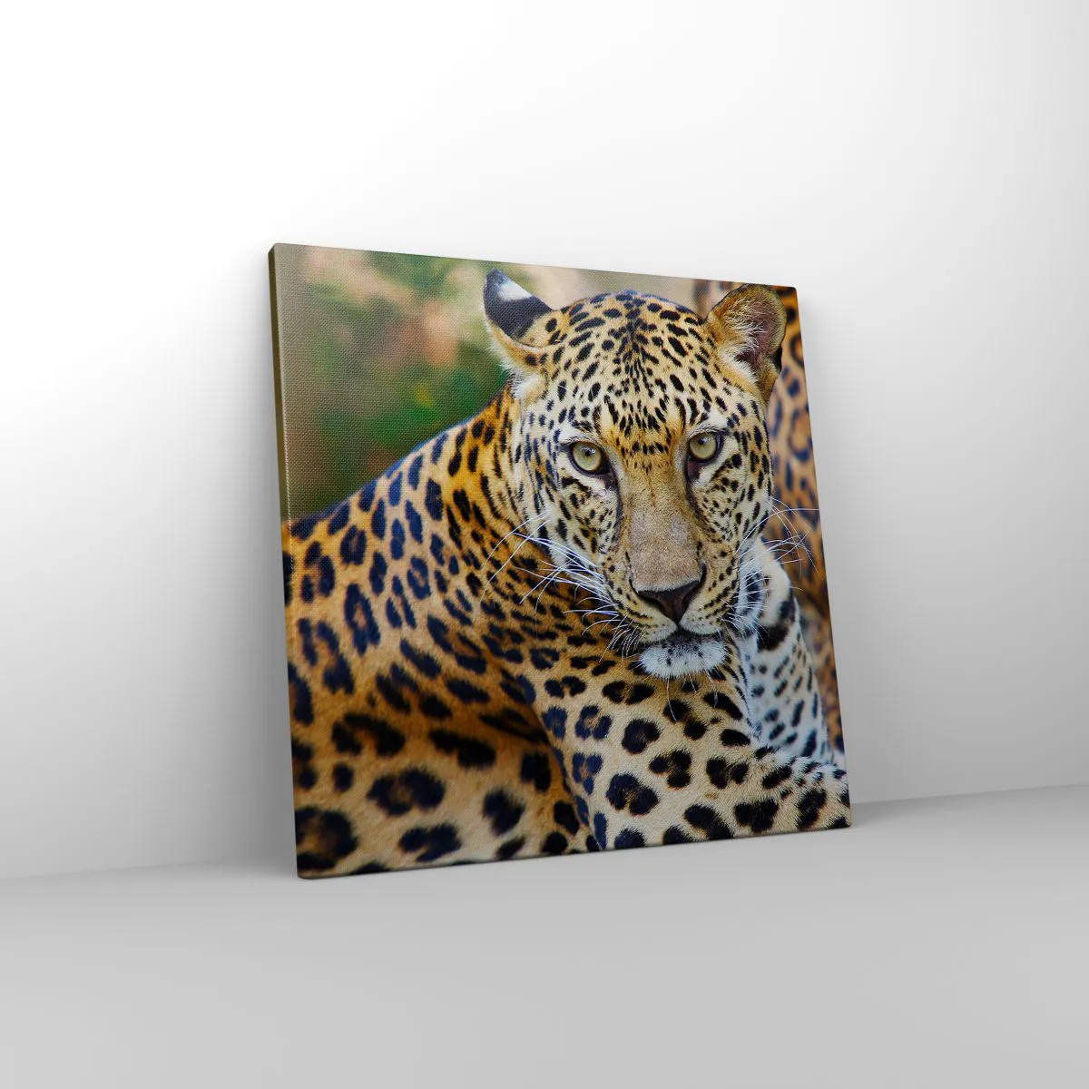 Cuadro sobre lienzo - Impresión de Imagen - Salvaje y tranquilo - 40x40 cm