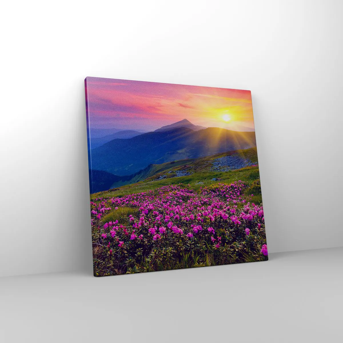 Tablou pe pânză - ... Și peste tot în jur se simte un miros de jneapăn și parfum de ierburi... - 40x40 cm