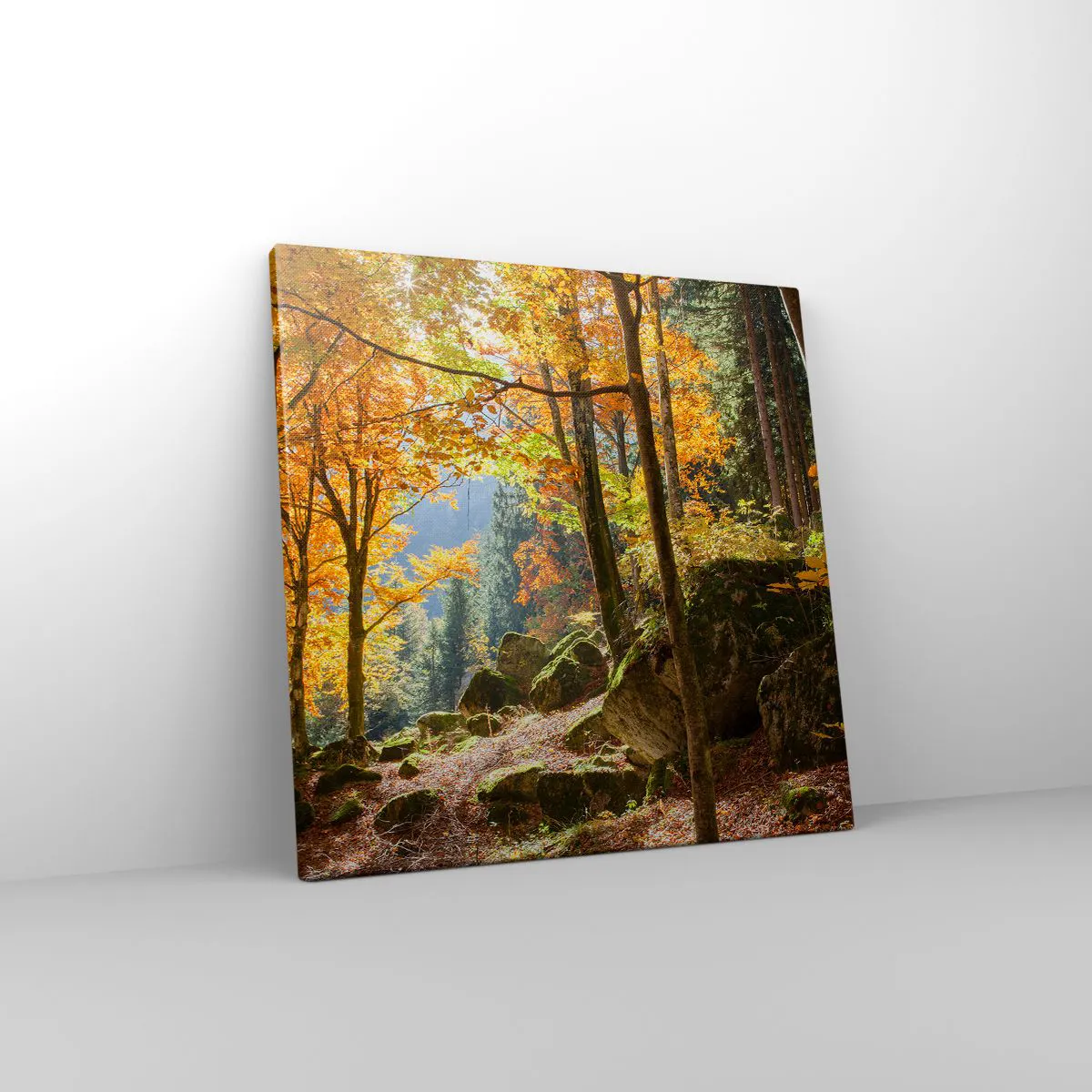 Obraz na plátně - Čas na odpočinek - 40x40 cm