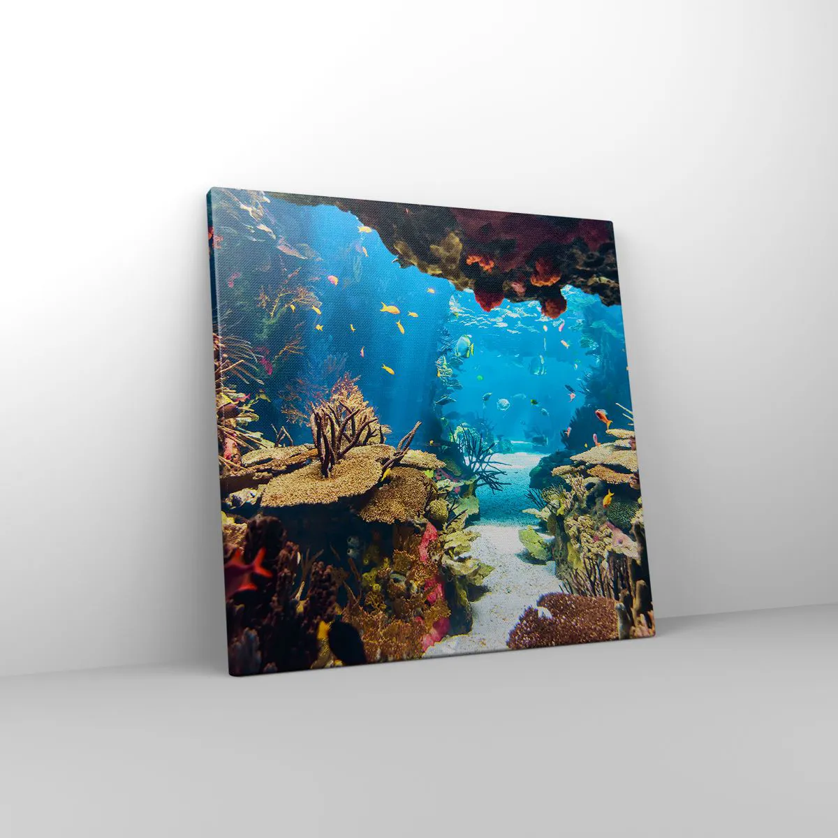 Obraz na płótnie - Nawet ci się nie śniło - 40x40 cm