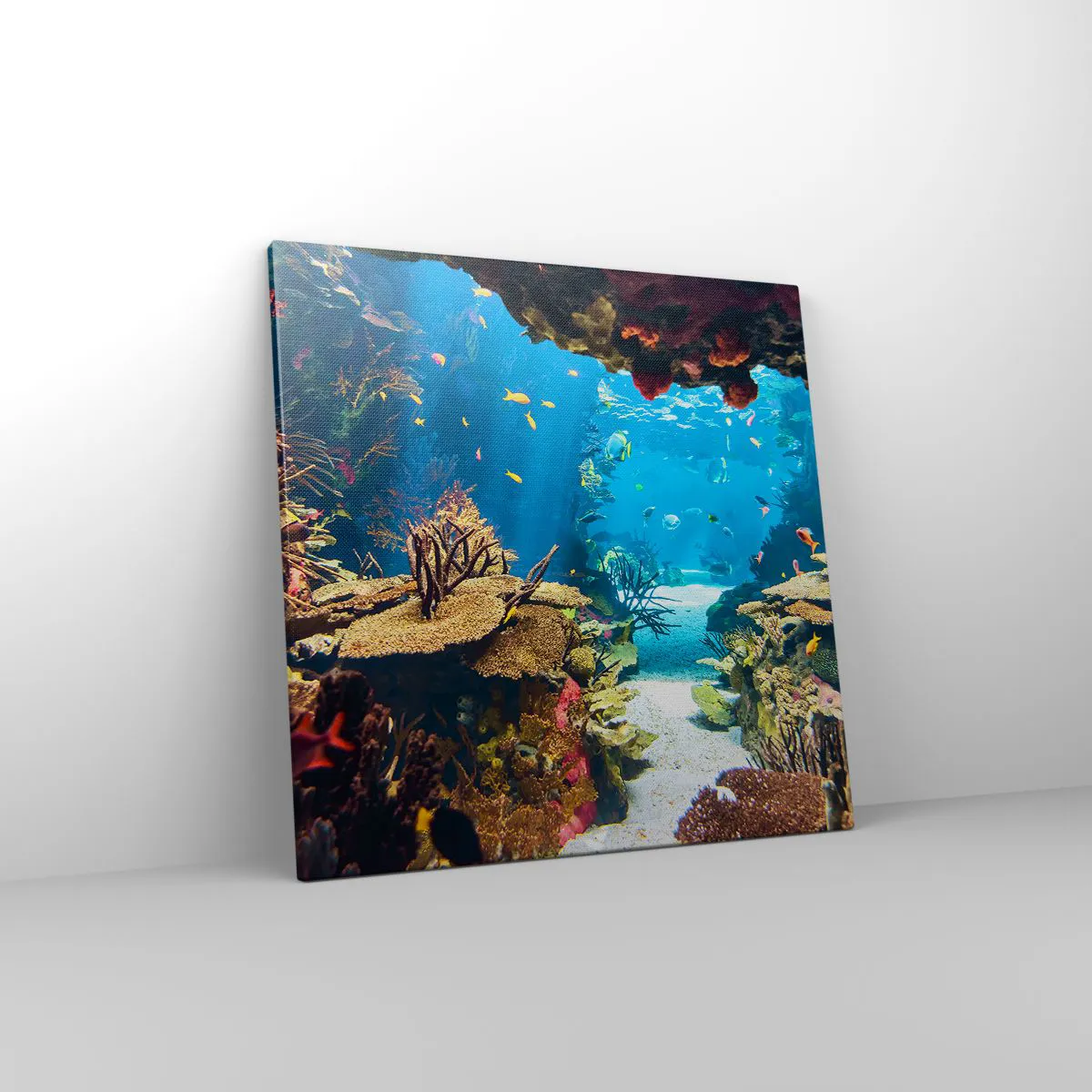 Bild auf Leinwand - Leinwandbild - Du hast es noch nicht einmal geträumt - 50x50 cm