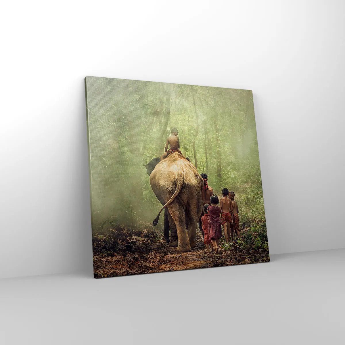 Obraz na płótnie - Nowa Księga Dżungli - 50x50 cm