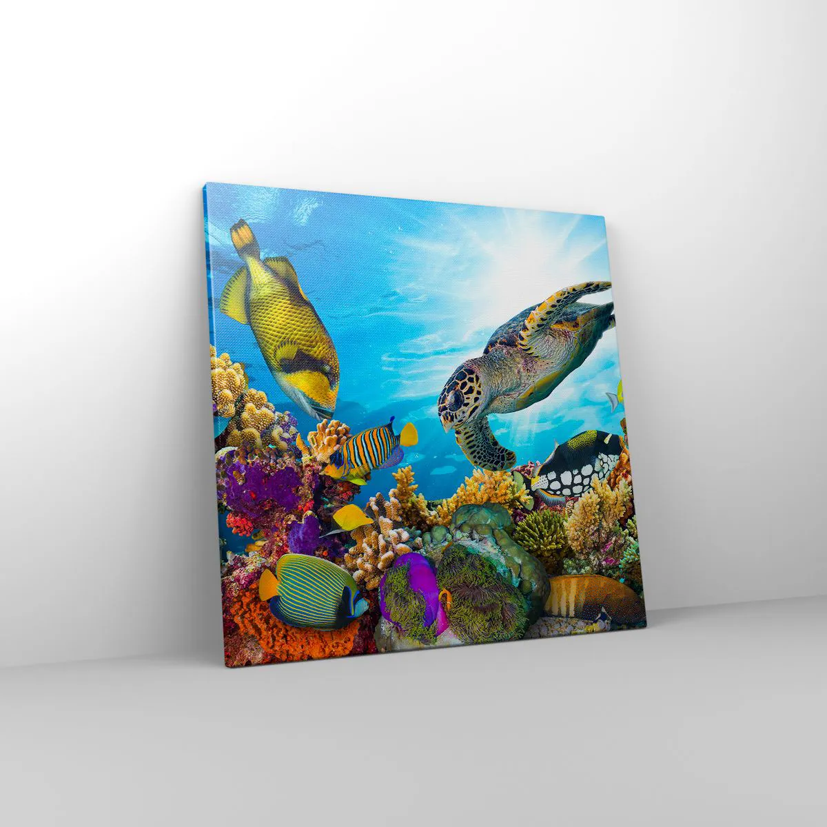 Impression sur toile - Image sur toile - Promenade de corail - 50x50 cm