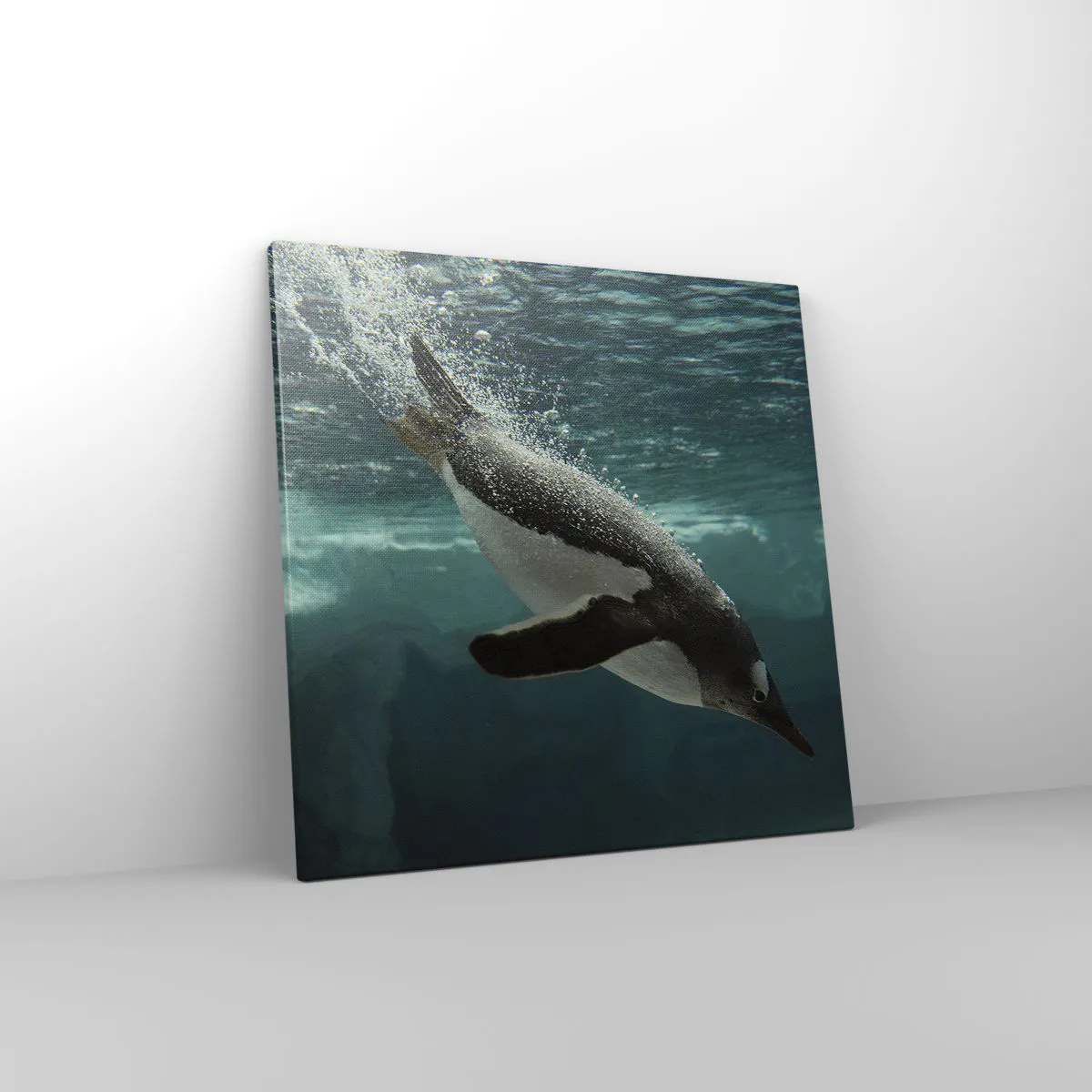 Impression sur toile - Image sur toile - Bienvenue dans mon monde - 50x50 cm