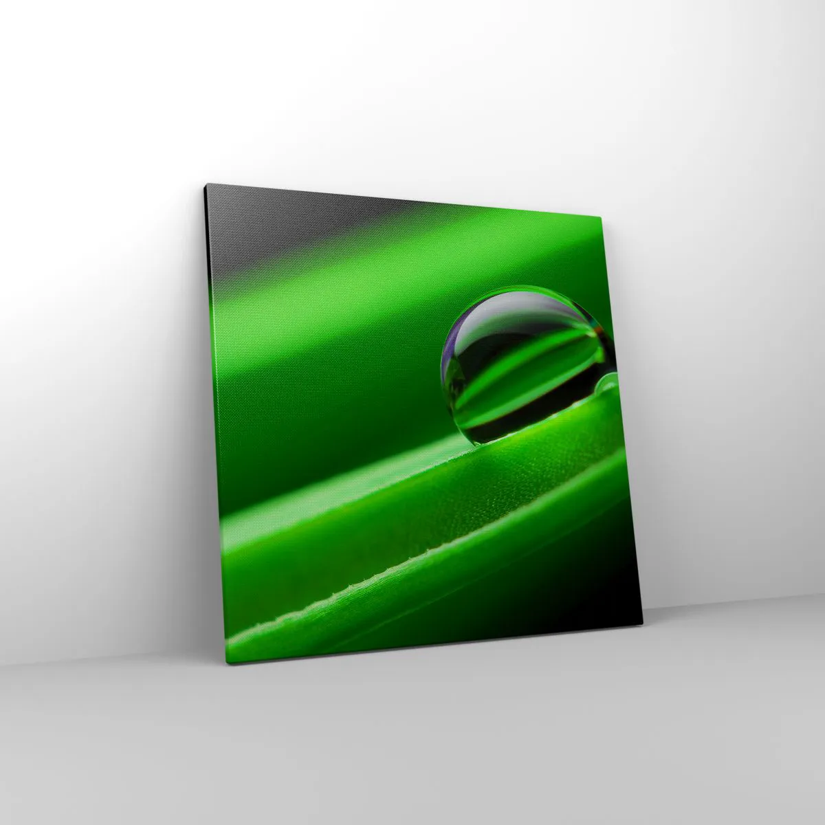 Bild auf Leinwand - Leinwandbild - Leben hautnah - 60x60 cm