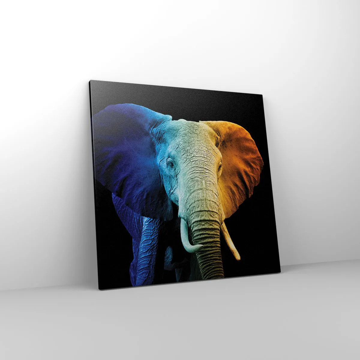 Vászonkép - Excentrikus, nem különc - 60x60 cm