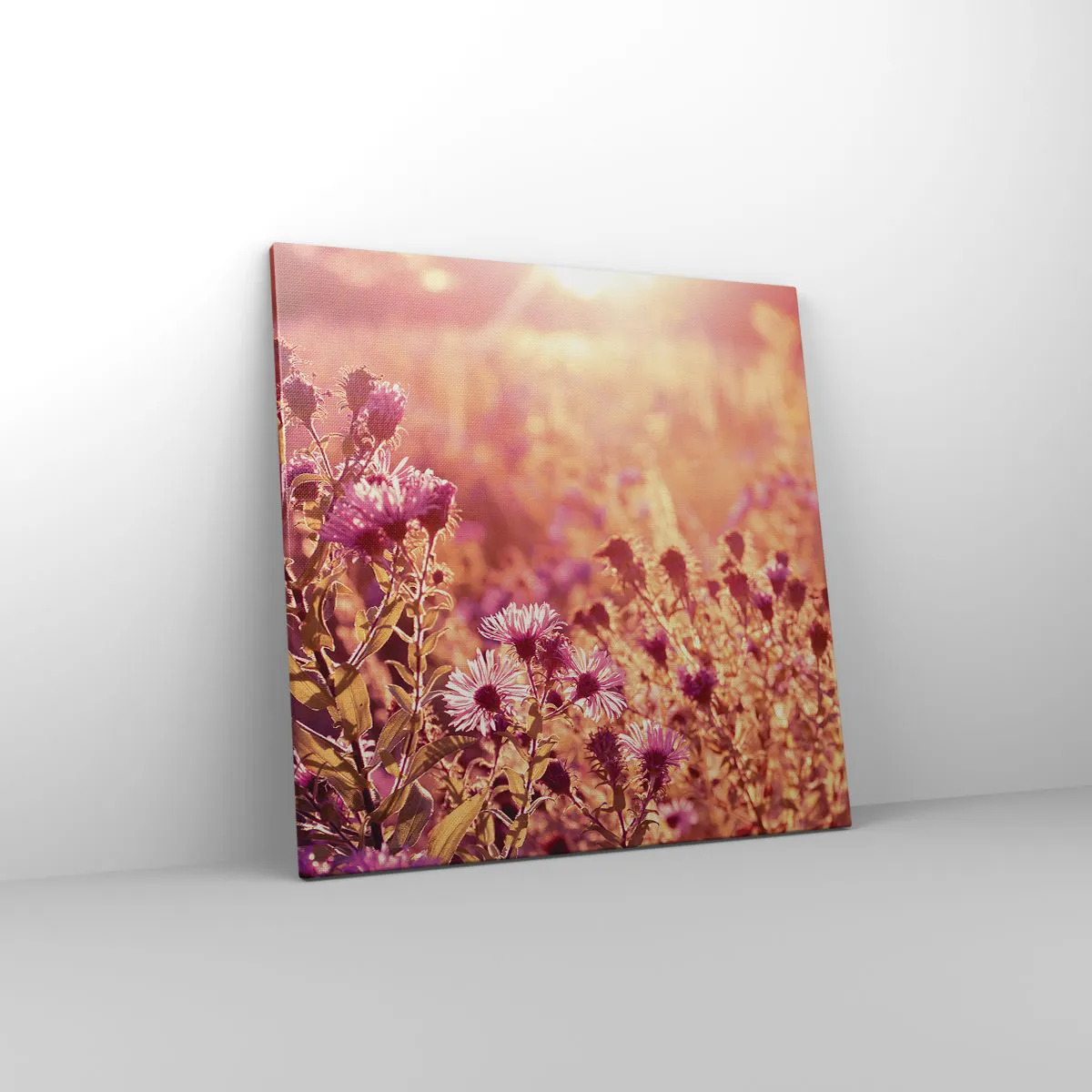 Obraz na płótnie - Przed odejściem lata - 60x60 cm