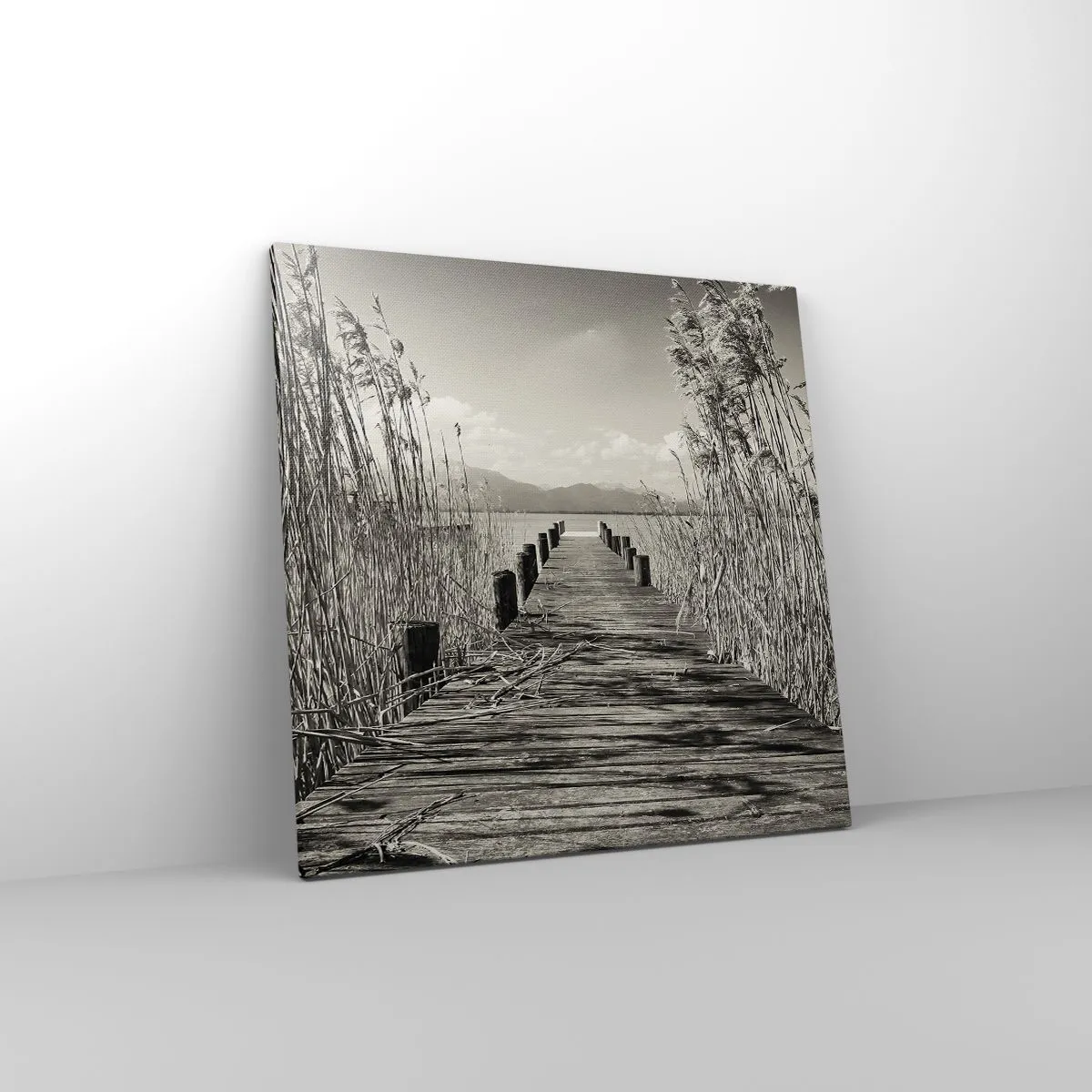 Lærredstryk - Billede på lærred - I græssernes fred - 60x60 cm