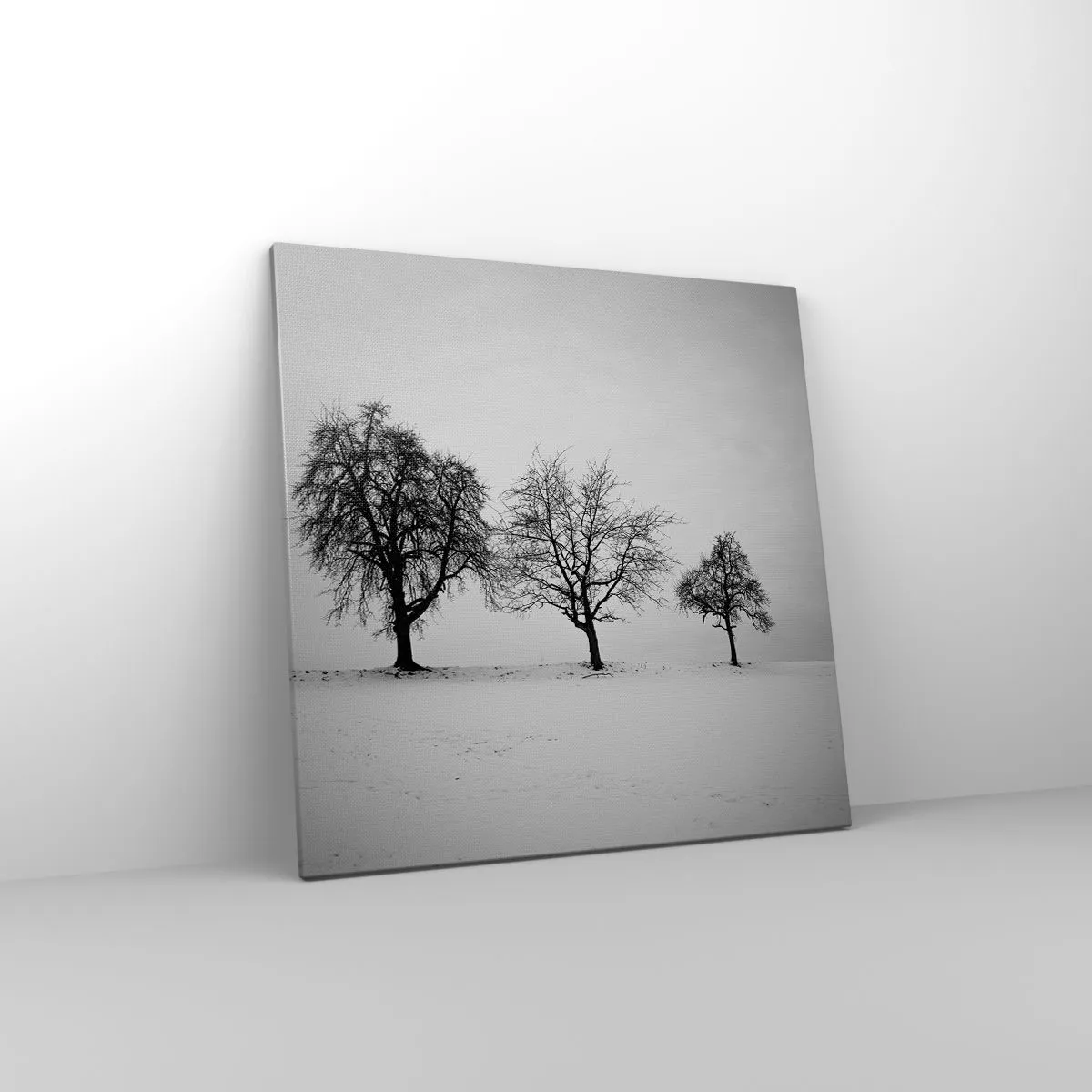 Obraz na plátne - O čom sníva? - 60x60 cm