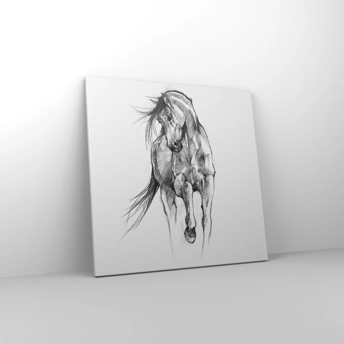 Obraz na płótnie - We wdzięcznym kłusie - 60x60 cm