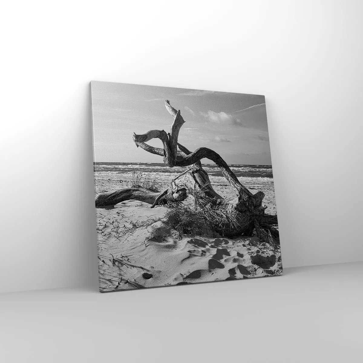 Cuadro sobre lienzo - Impresión de Imagen - Escultura marina - 60x60 cm