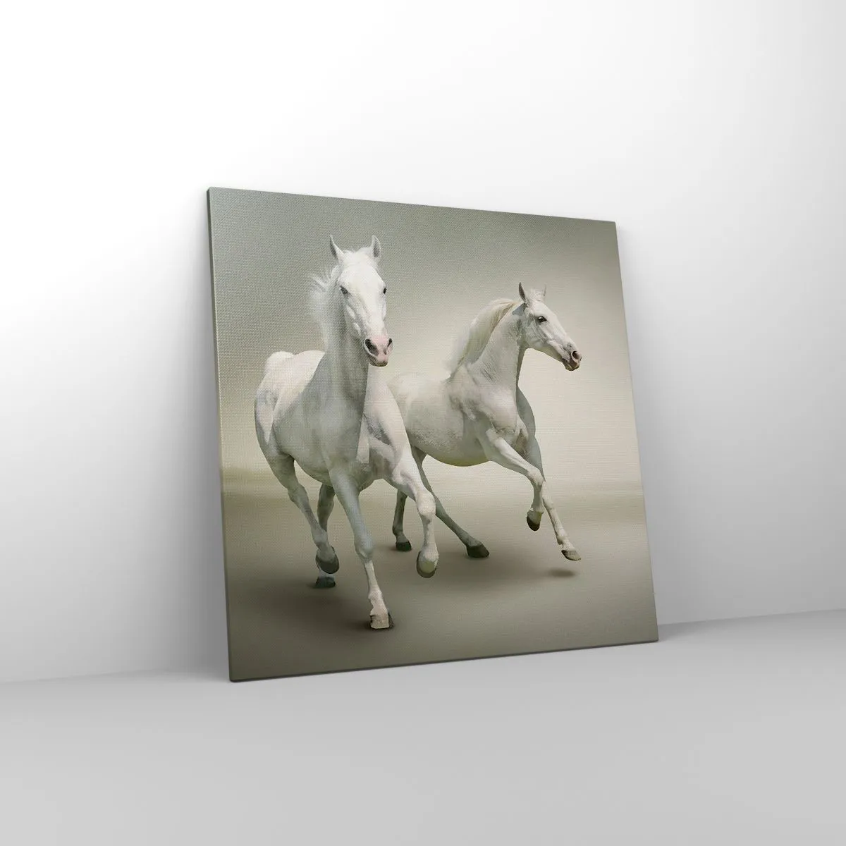 Cuadro sobre lienzo - Impresión de Imagen - ¡Poder blanco! - 70x70 cm