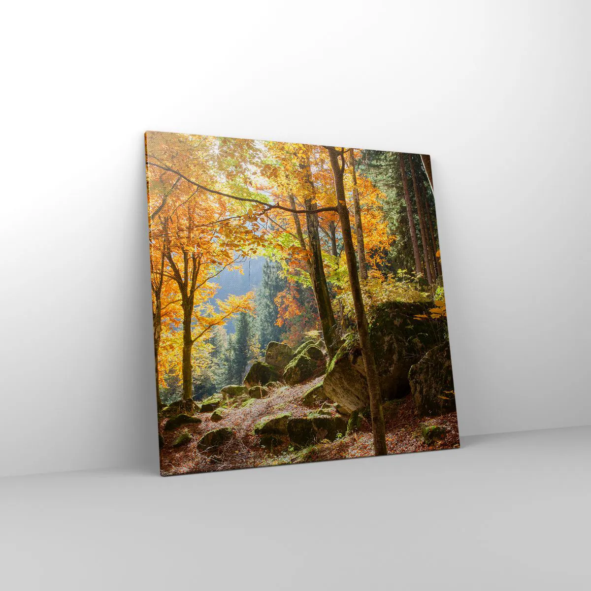 Obraz na plátne - Čas na odpočinok - 70x70 cm